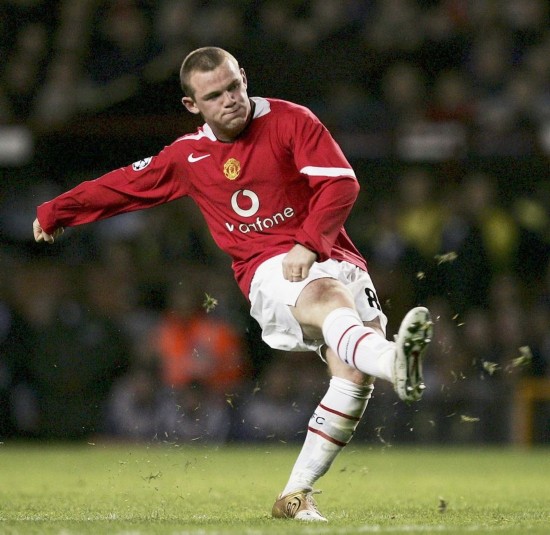 花的球迷 花的球迷